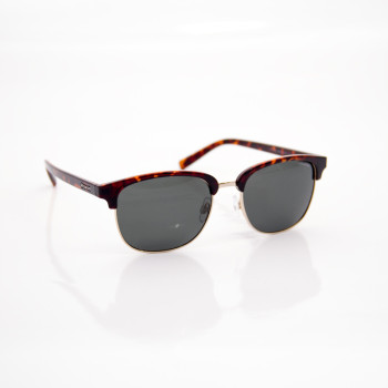 Polaroid sunglasses PLD 1012/S PR654H8 - 1